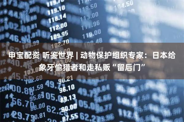 申宝配资 听鉴世界 | 动物保护组织专家：日本给象牙偷猎者和走私贩“留后门”