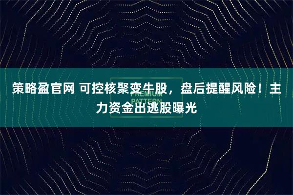 策略盈官网 可控核聚变牛股，盘后提醒风险！主力资金出逃股曝光