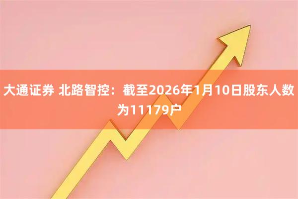 大通证券 北路智控：截至2026年1月10日股东人数为11179户